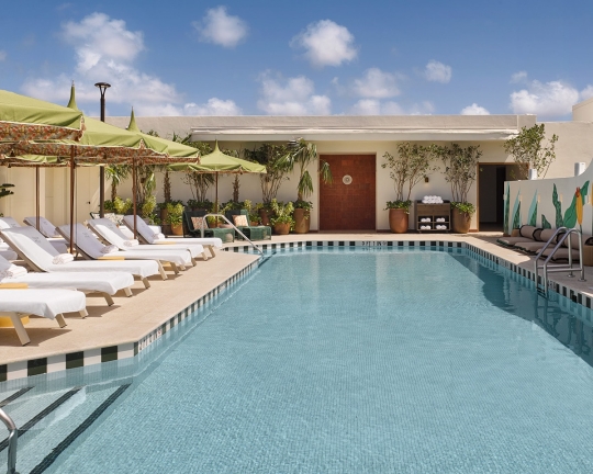 Rooftop Pool & Loungers