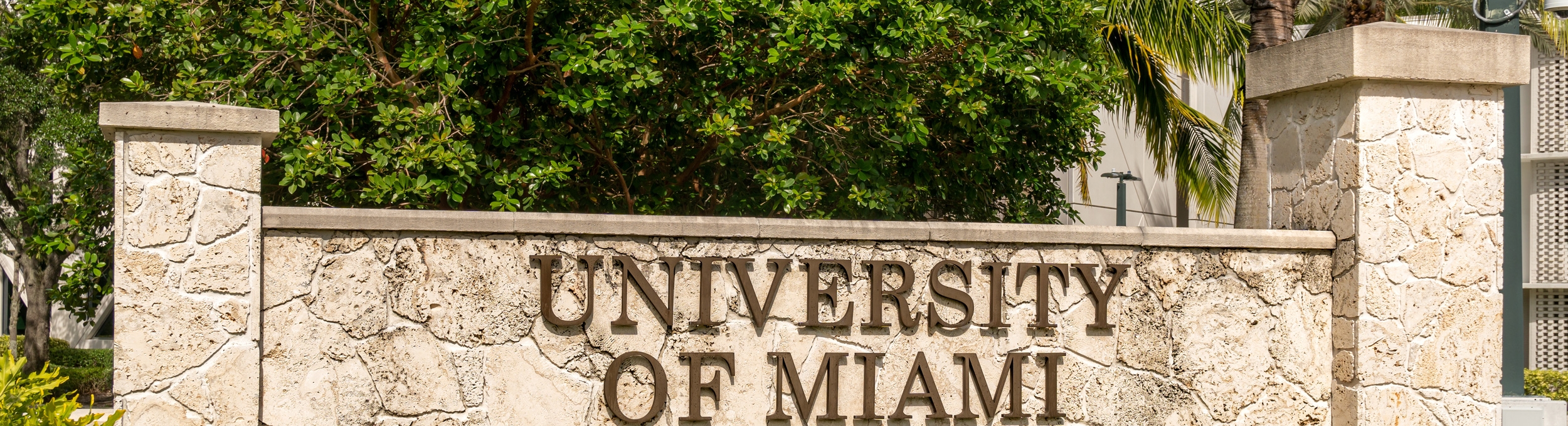 Welcome, University of Miami of Miami