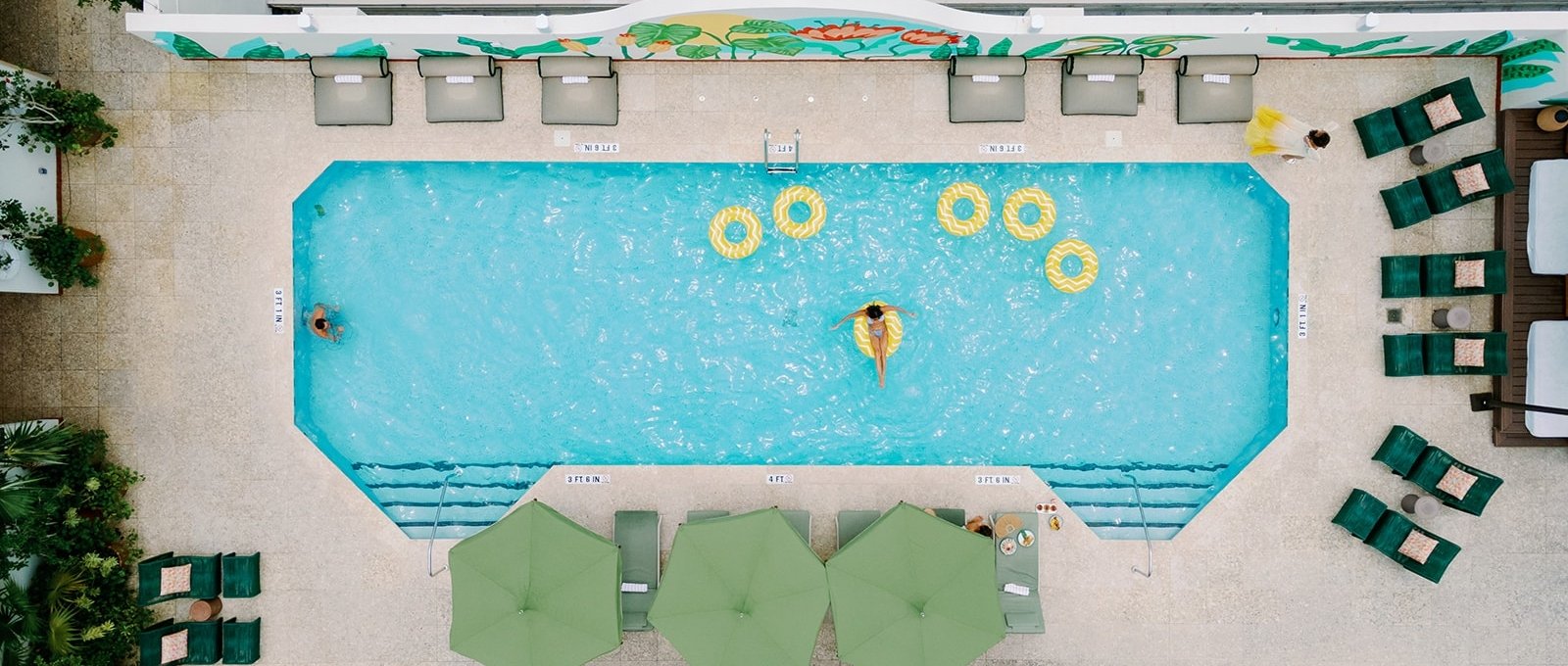 birds eye view of the mayfair house pool