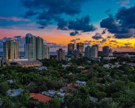 birds eye view of coconut grove
