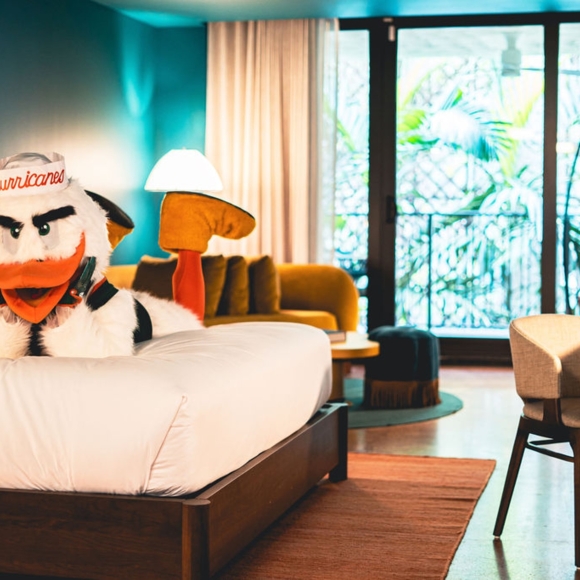 A Proud Neighbor of University of Miami 2