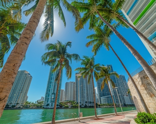 How to Experience Luxury for Less in Miami