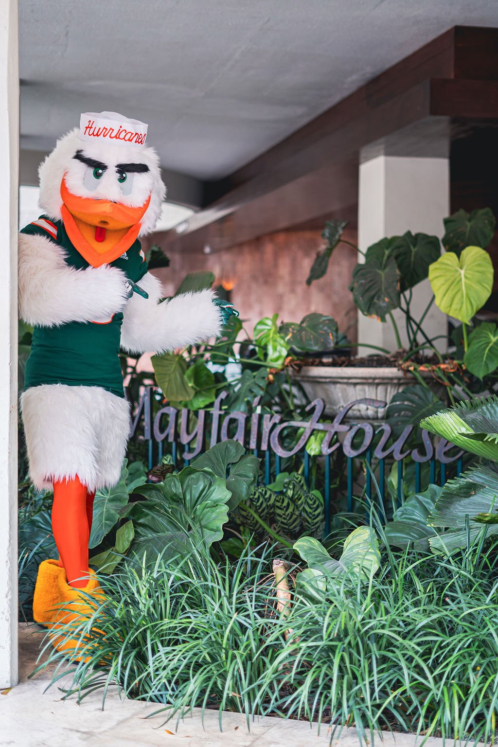 University of Miami mascot at Mayfair House